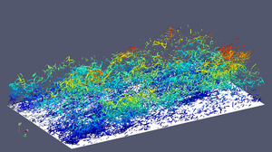 Visualisation de tourbillons dans une couche limite turbulente